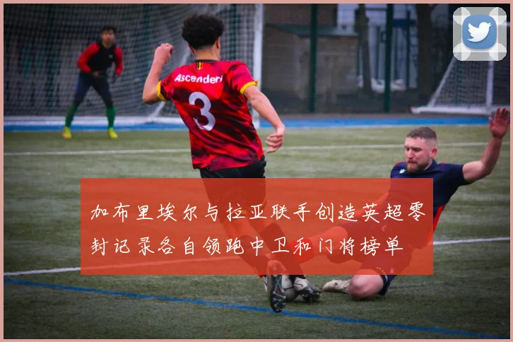 加布里埃尔与拉亚联手创造英超零封记录各自领跑中卫和门将榜单