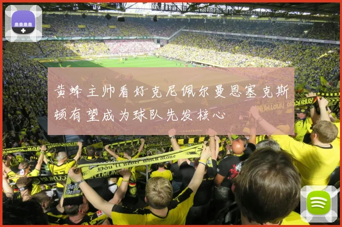 黄蜂主帅看好克尼佩尔曼恩塞克斯顿有望成为球队先发核心