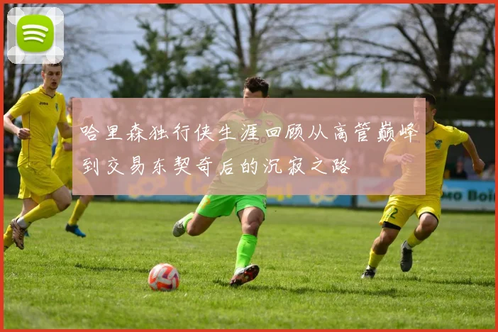 哈里森独行侠生涯回顾从高管巅峰到交易东契奇后的沉寂之路