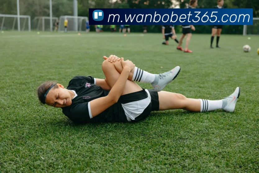 万博体育品牌故事